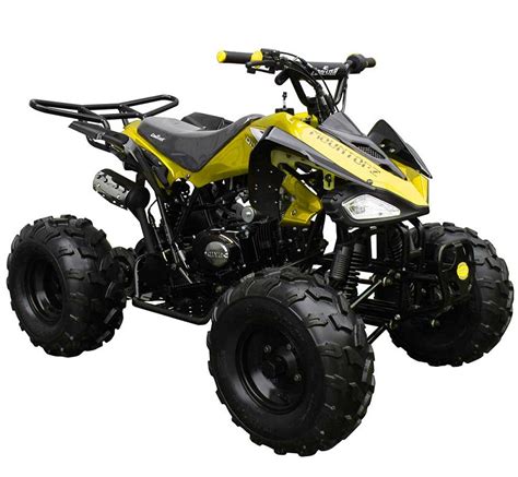 coolster 125cc atv top speed|coolster 125cc atv for sale.